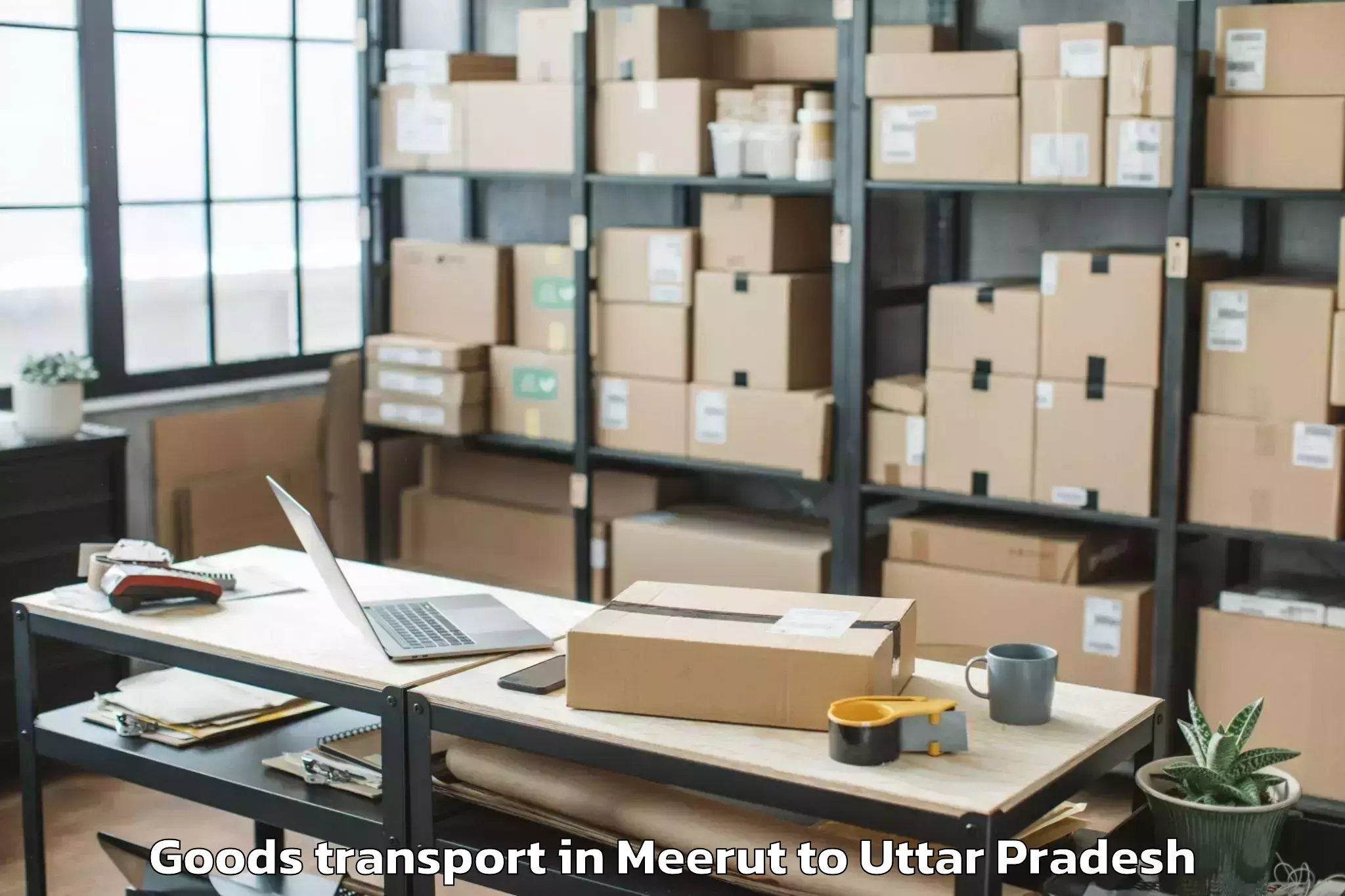 Professional Meerut to Mahoba Goods Transport